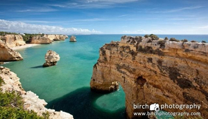 Birch Photography