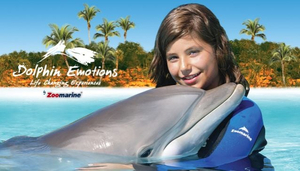 Dolphin Emotions