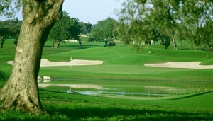 Quinta de Cima