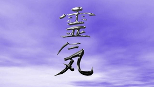 Reiki Healing Touch