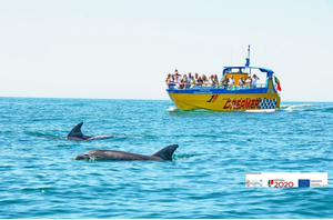 Passeios de Barco Dream Wave