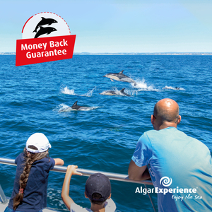 Dolphin Watching Money Back Guarantee  with AlgarExperience