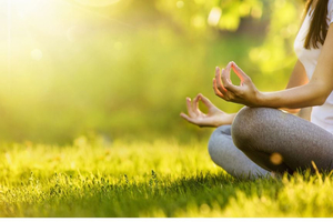 Signature Wellness at Vila Vita Parc