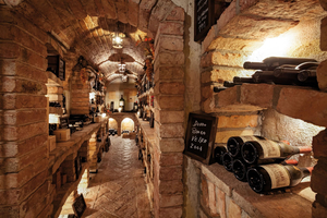 Wine Cellar Tasting and Dining Experience