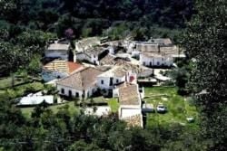 Alte