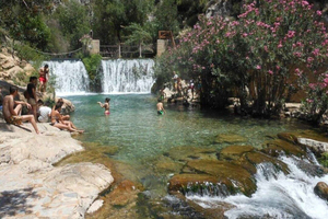 Alicante y Benidorm: Cascadas del Algar incluido traslado