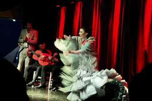 Alicante: Private visit to Cuevas del Canelobre and Flamenco Show in a van