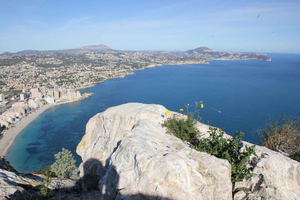 Alicante Shared Tour Old town, Elche & Huerto del Cura Grdns