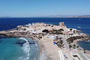 Alicante/Torrevieja: Excursion to Tabarca by ferry, Santa Pola, and Laguna Rosa