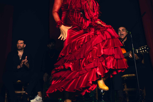 Alicante: Espectáculo tradicional de flamenco en el Palacio Marbeuf