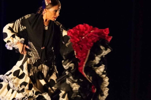 Dinner and UNESCO-protected flamenco show, in a private van from Alicante