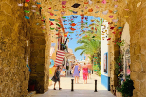 From Albir & Benidorm: Tabarca Island Day Trip