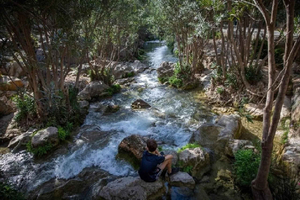 From Benidorm: Algar Waterfalls Tour with transfer