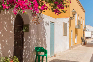From Valencia: Tabarca Island and Elche Palm Grove Day Trip