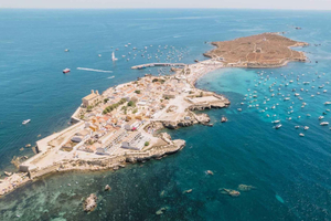 From Valencia: Tabarca Island, the Mediterranean Paradise + Ferry Included