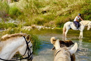 Polop: Horse ride near Benidorm (90 min)