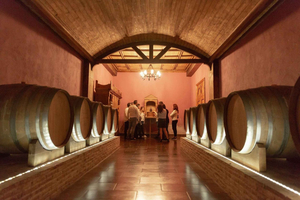 Visita a Bodega Premium con 7 Catas, Guía Experto