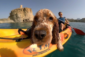 Villajoyosa : Kayak avec le meilleur ami de l'homme, votre chien