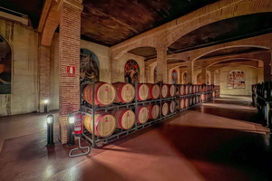 VIP Wine Experience | Costa Blanca’s Hidden Estates