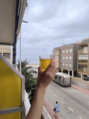 Apartamento Gran Playa Santa Pola by Villas&You