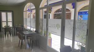 Bar & Kitchen El Olivo