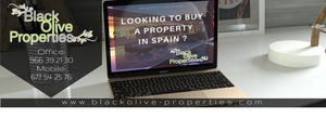 Black Olive Properties