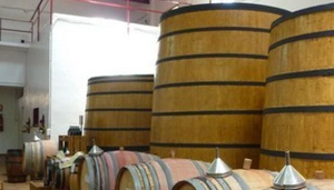 Bodegas Xalo