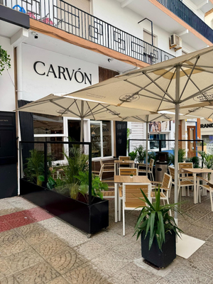 Carvón