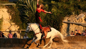 Spectacle Équestre Espagne