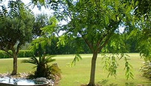 Javea Golf Club