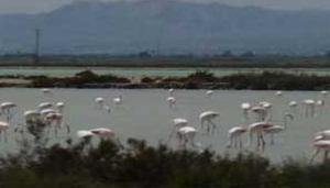 La Mata-Torrevieja Lagoons