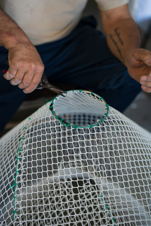 Marufina Santa Pola | Venta, Distribución y Elaborados de Mariscos.