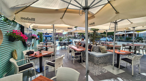 No-Mad Albir