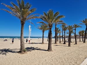 Platja de l'Arenal, Xàbia