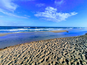 Platja del Saladar