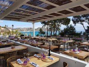 The Food Bar