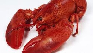 The Lobster Restaurant