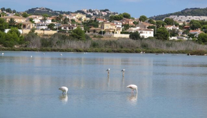 Villa Spain