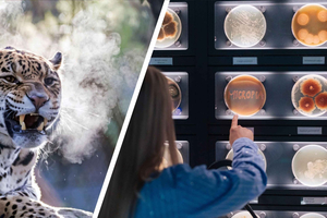 Amsterdam : Artis Royal Zoo & ARTIS-Micropia billet combiné