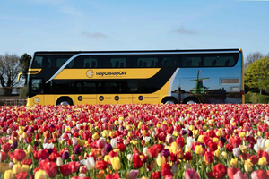 Amsterdam: Bus Transfer to Keukenhof & Tulip Fields