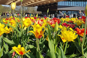 Amsterdam: Keukenhof & FlowerFarm Tour Including Tickets