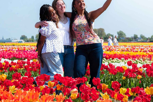 Amsterdam: Tulip Experience Ticket with Garden and Museum