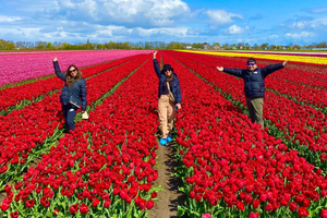 Amsterdam: Tulpenvelden dagtour met lunch & molen