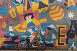 Bike Tour with a Local Guide