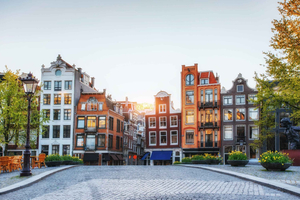 Dam Square & Flower Market Walking Tour