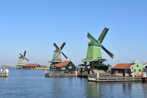 Des moulins, sabots et du Gouda excursion privée en français