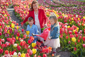 Amsterdamista: Tulip Field Experience – The Tulip Barn