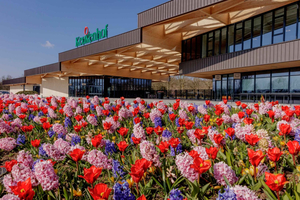 Amsterdam : Excursion à bicyclette d'une demi-journée dans les champs de fleurs et à Keukenhof