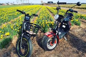 Hillegom: E-Scooter or E-Bike Rental in the Bulb Region