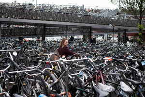 (Muiderslot Castle) Guided Bike Tour